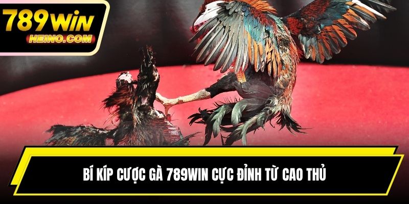Bí kíp cược gà 789WIN cực đỉnh từ cao thủ