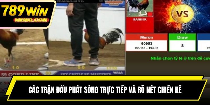 Các trận đấu phát sóng trực tiếp và rõ nét chiến kê