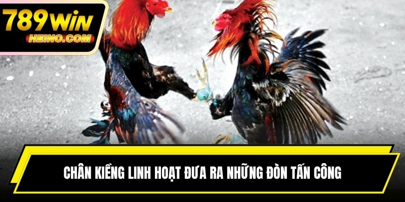 Chân kiềng linh hoạt đưa ra những đòn tấn công mạnh mẽ