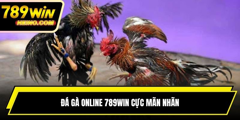 Đá gà online 789win cực mãn nhãn
