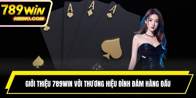 Giới thiệu 789win với thương hiệu đình đám hàng đầu