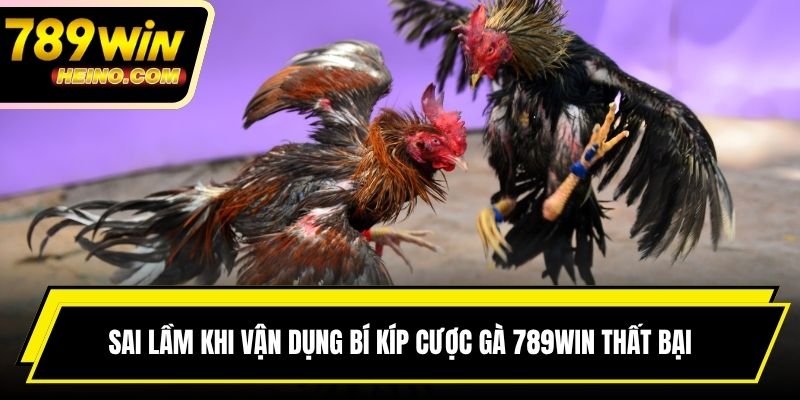 Sai lầm khi vận dụng bí kíp cược gà 789WIN dễ dẫn đến thất bại