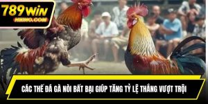 Các Thế Đá Gà Nòi Bất Bại