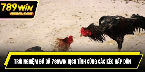 Đá Gà 789WIN