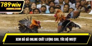 Xem Đá Gà Online